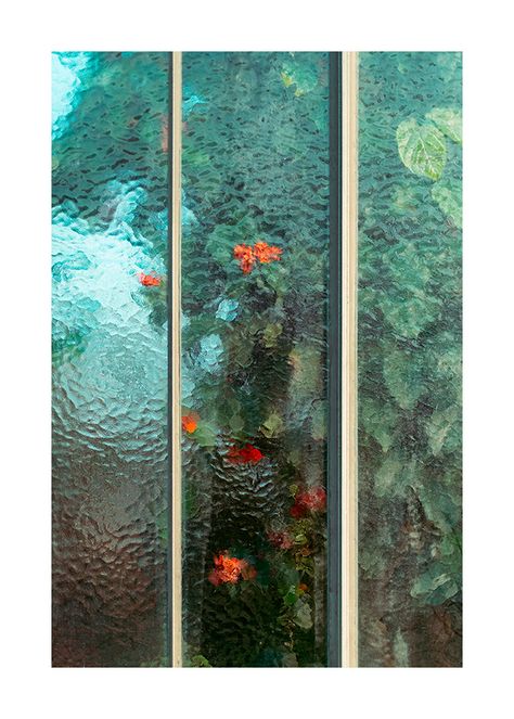 Greenhouse Windows, Colossal Art, Garden Pictures, Foto Art, Exotic Plants, Foto Inspiration, Bar Lounge, Botanical Illustration, The Window