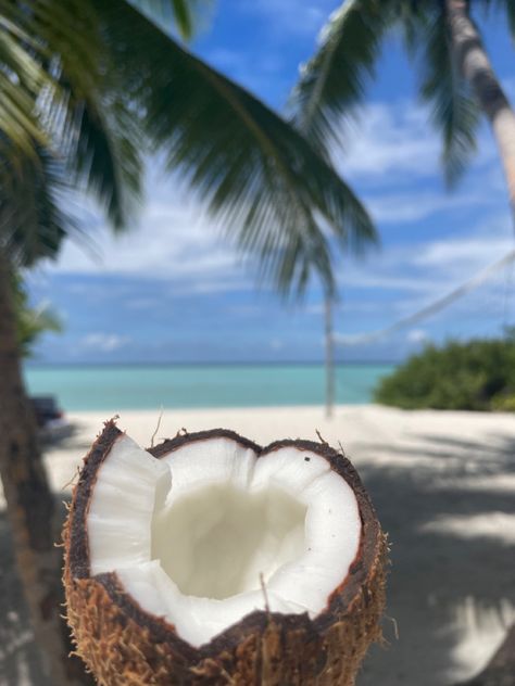 Maldives Aesthetic, Wallpapers Summer, Aesthetic Coconut, Coconut Perfume, Coconuts Beach, Summer Wallpapers, Coconut Dream, Wallpaper Summer, Cute Summer Wallpapers