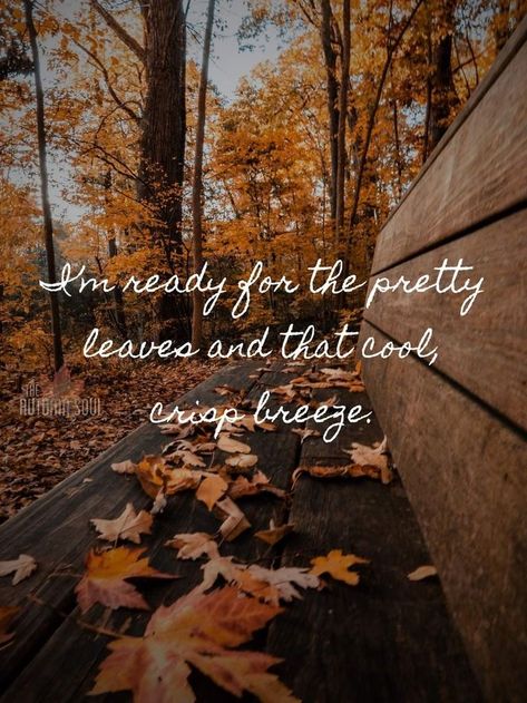 Augtober Quotes, Waiting For Fall Quotes, Autumn Vibes Quotes, Fall Quotes Aesthetic, Fall Quotes And Sayings, Neuer Monat, Halloween Facts, Fall Mood Board, Favourite Season