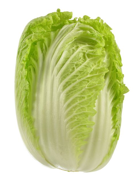 Cabbage Napa Growing Spinach, Vegetable Pictures, Cabbage Worms, Paper Pot, Asian Vegetables, Growing Lettuce, Chinese Cabbage, Napa Cabbage, Raw Vegetables