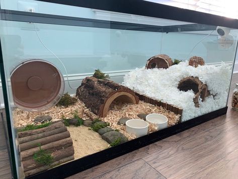 natural hamster cage tank wood Gerbil Tank Ideas, Cool Hamster Cages Diy, 20 Gallon Hamster Tank Ideas, Pet Mouse Enclosure, 40 Gallon Hamster Tank Ideas, 10 Gallon Hamster Tank Ideas, Hamster Bin Cage Set Up, 40 Gallon Hamster Tank, Hamster Tank Ideas