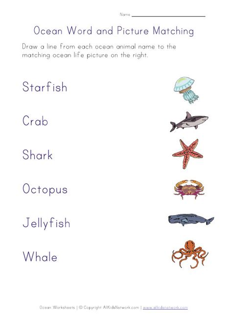 under the sea worksheets | Ocean Life Picture Matching Worksheet Aquarium Worksheets For Kids, Tefl Worksheets, Waldorf Woodworking, Ocean Worksheets, Ocean Printables, Ocean Words, Ocean Theme Preschool, Ocean Unit, Matching Worksheets