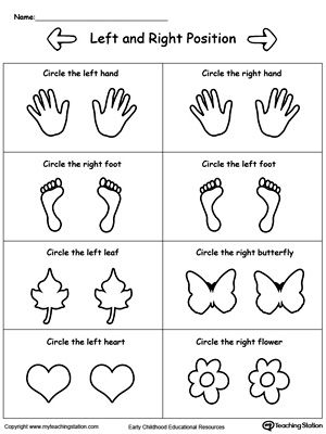 Which Is Left and Which is Right?: Help your child to learn Left and Right positions with this animals facing Left and Right worksheet. Left And Right Direction Worksheet, Left And Right Worksheet Preschool, Occupation Therapy Activities, Teaching Left And Right Preschool, Left And Right Worksheets Kindergarten, Pre K Printables Free, Above And Below Worksheets, Teaching Left And Right, Kindergarten Printables Free