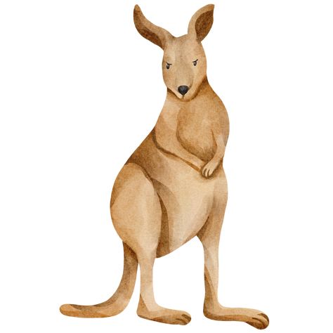 Watercolor Kangaroo, Kangaroo Clipart, Bike Rodeo, Kangaroo Drawing, Joey Kangaroo, Bottle Paintings, Kangaroo Illustration, Book Animation, Kangaroo Art