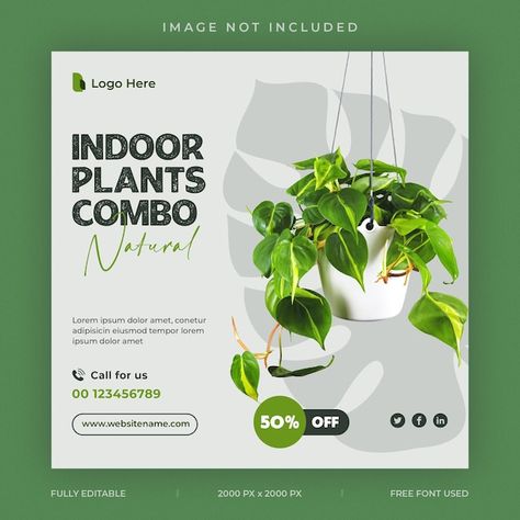 Social Banner Design, Plant Instagram Post, Plant Poster Design, Gardening Logo, Plants Graphic, Plants Poster, Shop Banner Design, Teaching Graphic Design, Website Design Inspiration Layout