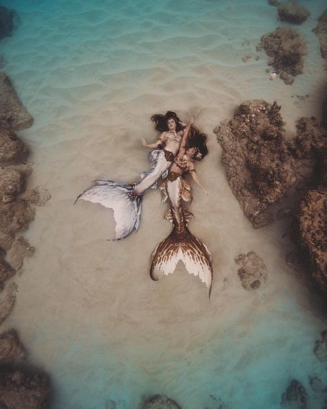 Mermaid Serenity and Merbella by Oceanobscura Mermaids In Love, Light Mermaid Aesthetic, Mermaid Astethics, Mermaid Matching Pfp, Brunette Mermaid, Two Mermaids, Mermaid Family, Burning Eyes, Realistic Mermaid Tails