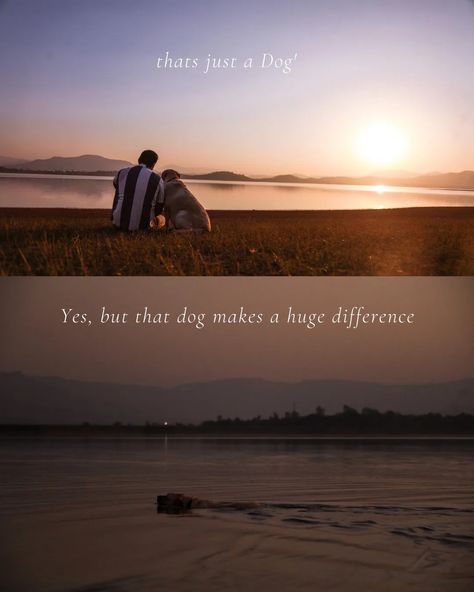 A photo of a dog sitting next to his hooman, looking up at him with adoring eyes. The hooman is petting the dog's head, and the background is a dusk Overlaid on the photo is the quote "Dogs are not our whole life, but they make our lives whole." written in white and cursive font. The pin also features hashtags including "doglove", "loyalcompanion", and "mansbestfriend". Dog Love Quotes Unconditional, Unbreakable Quotes, Dog Loyalty Quotes, Dog Poetry, Bond Quotes, Love And Loyalty, Humanity Quotes, Cosmetic Creative, Heartwarming Photos