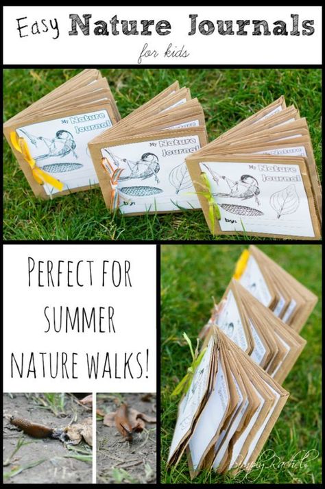 Easy Nature Journals for Perfect for Summer Nature Walks Paper Bag Nature Journal, Nature Puppets, Midsummer Activities, Nature Journal Kids, Nature Journal Ideas, Forest School Ideas, Nature Play Ideas, Outdoor Nature Activities, Tree Journal