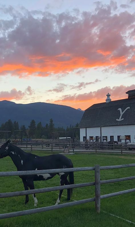 Chief Joseph Ranch, Montana Guest Ranch Horse Ranch Aesthetic, Ranch Life Country Living, Montana Core, Chief Joseph Ranch, Montana Ranch House, Wyoming Summer, Indigo Ridge, Montana Aesthetic, Wyoming Ranch