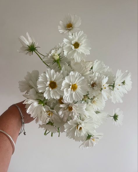 Fluffy en masse cosmos Bouquet has my heart ❤️‍🔥 No ordinary cosmos hand grown and frills for day from a local supplier. Elopements 🏹 want something elegant and romantic. We’ve got you! Wedding florals don’t have to be complicated. Let’s discuss all the things, booking 2025🙌🏽 Cosmos Bouquet, Wedding Florals, The Things, No Frills, Cosmos, Floral Wedding, My Heart, Collage, Floral