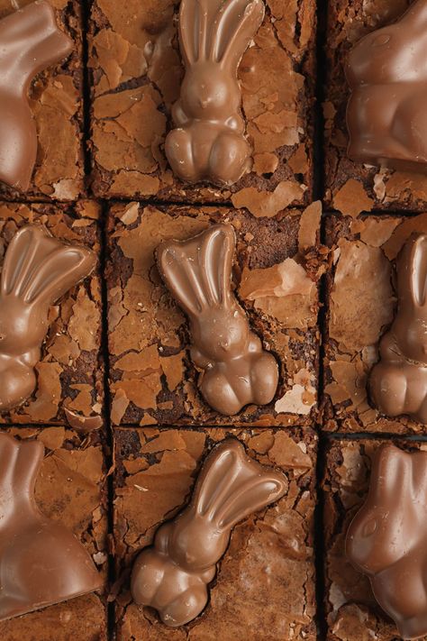 Chocolate Bunny Cake, Bunny Brownies, Easter Brownies, Chocolate Bunnies, Easter 2023, Tray Bake Recipes, Lemon Drizzle Cake, Drizzle Cake, Delicious Brownies