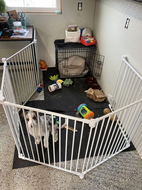 Tether Training for Puppy Problems | Journey Dog Training Diy Puppy Playpen, Puppy Pen, Dog Playpen Indoor, Puppy Pens, New Puppy Checklist, Puppy Checklist, Puppy Palace, Puppy Playpen, Play Pen