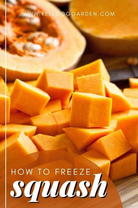 Freeze Squash, Freezing Butternut Squash, Hubbard Squash Recipes, Freezing Spaghetti Squash, Freezing Squash, Squash In Oven, How To Cook Squash, Buttercup Squash, Homestead Gardening