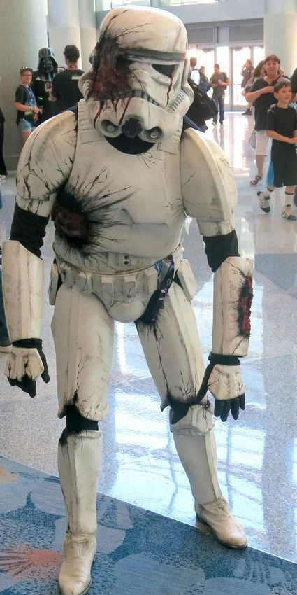 Sergeant Hound Star Wars, Stormtrooper Cosplay, Female Stormtrooper, Clone Trooper Cosplay, Signs Of Gluten Intolerance, Stormtrooper Art, Starwars Cosplay, Crazy Costumes, Star Wars Celebration