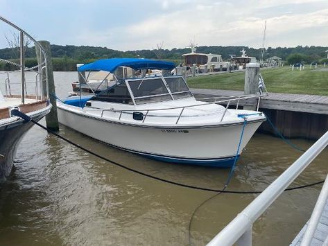 Check out this Used 1988 Shamrock 26 Cuddy Cabin for sale in Essex, CT 06426. View this Cuddy Cabin and other Power boats on boattrader.com Cuddy Cabin Boat, Cabin Cruiser Boat, Fishing Boats For Sale, Cruiser Boat, Cabins For Sale, Cabin Cruiser, Chris Craft, Boat For Sale, Used Boat For Sale