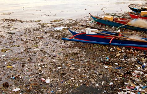 Manila pollution Chapter 79 Pasig River, Manila Bay, Environmental Ethics, Catchment Area, Solid Waste, Urban Center, River Basin, Water Pollution, Waste Management