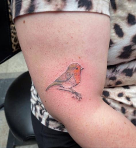 Robin Tattoo Ideas, Robin Tattoo Design, Small Bird Tattoo Ideas, Robin Tattoos, Bird Tattoo Ideas, Robin Bird Tattoos, Olive Tattoo, Bird Tattoos Arm, Robin Tattoo