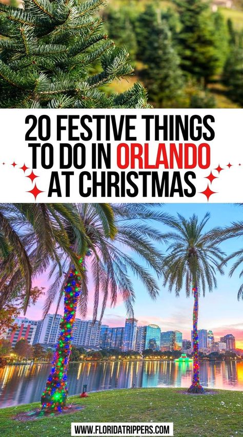 20 Festive Things To Do In Orlando At Christmas Christmas Orlando, Things To Do Christmas, Orlando Christmas, Disney Springs Orlando, Things To Do In Orlando, Christmas Things To Do, Christmas Getaways, Travel Florida, Travel Christmas