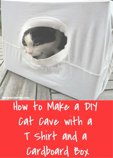 Easy DIY Cat Craft - Make a Cat Cave with a Message. It's simple to take a cardboard box and a tee shirt and turn it into a cat cave. #DIY #catcave #catcraft #easyDIY  via @BooksCooksLooks Diy Cat Bed, Rabbit Bedding, Cat Entertainment, Felt Animal Patterns, Cat House Diy, Cats Diy Projects, Dream's Cat, Cat Scratchers, Homemade Cat