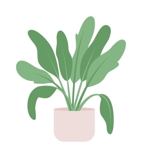 Large sized plant for living room semi flat color vector object. Editable element. Full sized item on white. Decor simple cartoon style illustration for web graphic design and animation Plant Illustration Simple, Animated Plants, Plant Animation, Plant For Living Room, Journaling Pictures, Simple Vector Illustration, Plant Cartoon, Books Illustration, Living Room Plants