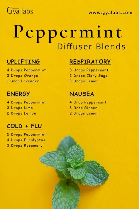 Image of peppermint essential oil and herbs with a caption "Refreshing Peppermint Essential Oil Blends" Peppermint Essential Oil Blends, Benefits Of Peppermint Essential Oil, Benefits Of Peppermint, Mint Essential Oil, Essential Oil Combinations, Essential Oil Diffuser Blends Recipes, Perfume Recipes, Essential Oils Guide, Sinus Congestion