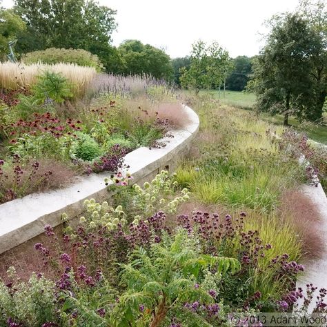 Naturalistic Garden, Sustainable Landscaping, Meadow Garden, Easy Landscaping, Traditional Landscape, Landscaping Tips, Cool Landscapes, Terrace Garden, Landscape Projects