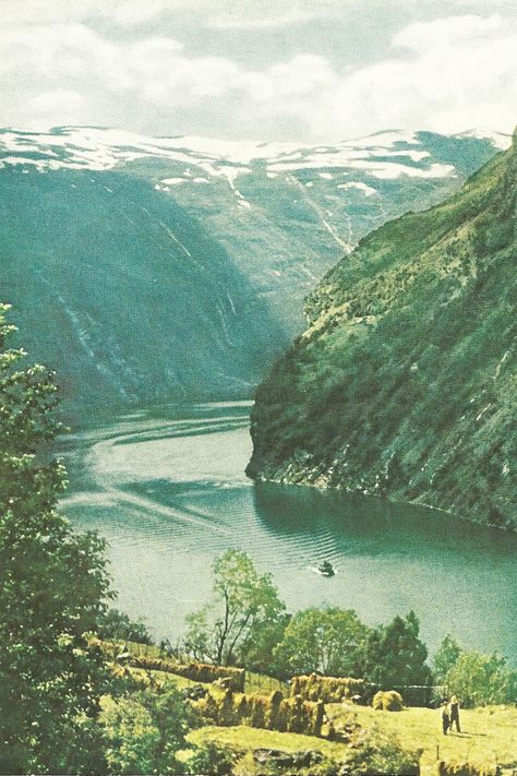 Vintage National Geographic Vintage National Geographic, National Geographic Photography, Green Pictures, Adventure Aesthetic, Picture Collage Wall, Photo Wall Collage, Vintage Landscape, Vintage Nature, Art Collage Wall