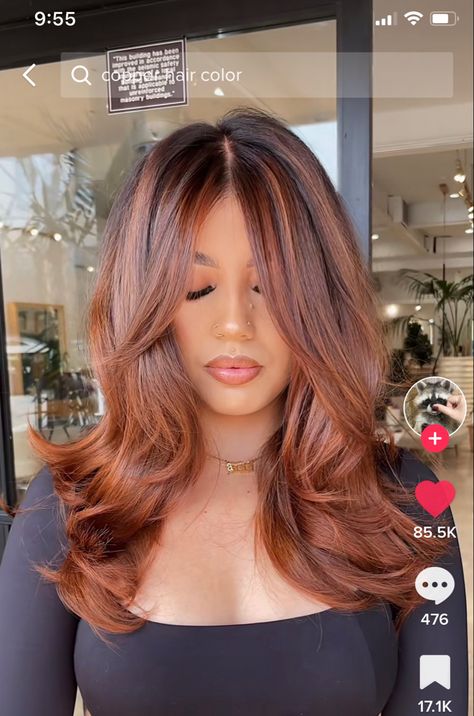 Ginger Hair Dyed, Copper Brown Hair, Red Hair Extensions, Rambut Brunette, Red Hair Inspo, Brown Hair Looks, Ginger Hair Color, Gorgeous Hair Color, Hairstyles For Layered Hair