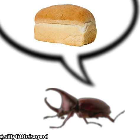 Cool Bugs, The Bug, Arthropods, Silly Images, Silly Animals, Bugs And Insects, Speech Bubble, Silly Pictures, Love Bugs