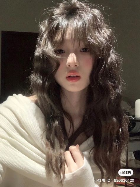 Long Wolf Cut Wavy/curly Hair, Wonyoung Curly Hair, Wavy Asian Hair, Korean Curly Hair, Wavy Hair Asian, Asian Curly Hair, Curly Asian Hair, Sunkissed Hair Brunette, Haircut Tip