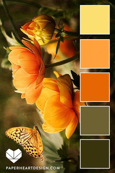 ORANGE YOU GLAD Yellow, orange, and green are a match made in heaven. HEX CODES: #38340e #6d6131 #e56703 #ffa13d #fbdf71 Baked Camembert, Orange Color Palettes, Palette Design, Color Pallete, Color Schemes Colour Palettes, Color Palate, Design Seeds, Color Palette Design, Paper Heart