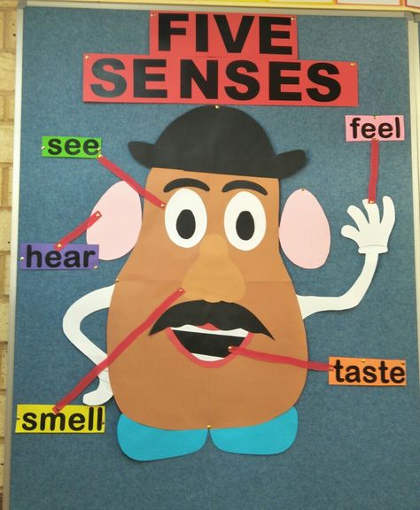 Me Potato Head 5 Senses, Mr Potato Head Craft 5 Senses, Five Senses Art Projects, Craft Activities For Ukg Students, Mr Potato Head Printable Templates 5 Senses, Ukg Class Project Work, Five Senses Projects For Kids, Five Senses Bulletin Board Preschool, 5 Senses Art For Toddlers