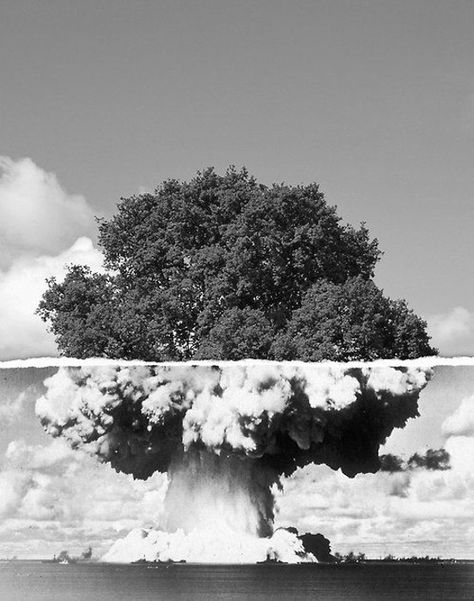 a picture of a tree and an atomic bomb mushroom cloud have been merged- juxtaposition examples in photography Juxtaposition Photography, Photographie Art Corps, Mushroom Cloud, Photography Examples, Growth And Decay, Plakat Design, Conceptual Photography, A Level Art, Foto Inspiration