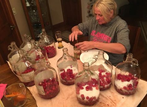 Cherry Bounce Moonshine Recipe, Cherry Bounce, Cordial Recipe, Cherry Cordial, Homemade Liquor, Liquor Recipes, Moonshine Recipes, Liqueurs Recipes, Homemade Wine