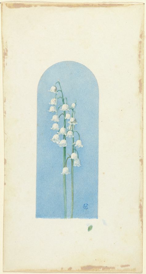 Lilies of the Valley (x1950-7) Lilies Of The Valley, Princeton University, 수채화 그림, Watercolor On Paper, Lily Of The Valley, Botanical Illustration, The Valley, Art Museum, The Collection