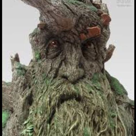 Tree beard Lord Of The Rings Treebeard, Tree Beard Lord Of The Rings, Lord Of The Rings Garden Ideas, Treebeard Lord Of The Rings, Ent Lord Of The Rings, Ents Lord Of The Rings, Treebeard Art, Lotr Treebeard, Lord Of The Rings Characters