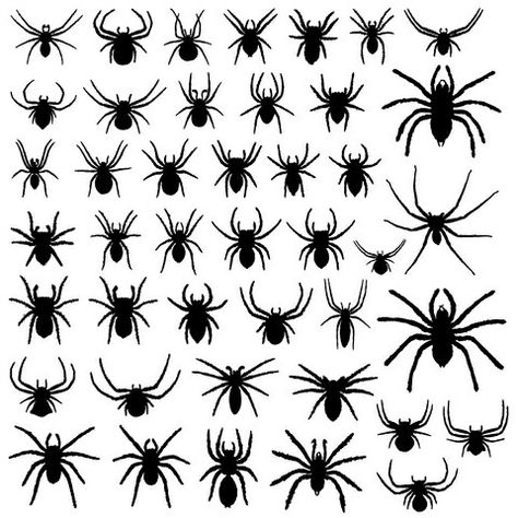 Spider tattoo Spiders Tattoo, Tattoos Spider, Henna Men, Spider Tattoos, Spider Web Tattoo, Web Tattoo, Beaded Spiders, Spider Tattoo, Halloween Silhouettes