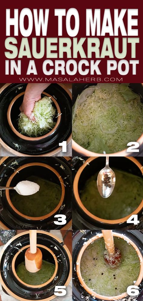 How to make Sauerkraut in a crock pot - Old fashioned recipe, easy DIY cabbage fermentation guide. For homesteading and German Austrian food fans. Healthy vegan recipe with 3 ingredients. www.MasalaHerb.com Homemade Sourkraut, Sauerkraut Crock, Sauerkraut In A Crock, Austrian Food, Make Sauerkraut, Crock Meals, Making Sauerkraut, Fermented Sauerkraut, Homemade Sauerkraut