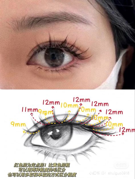 lash extension , lash extension inspo , lash extension insporation , manga lashes , makeup Anime Lashes, Manga Lashes, Bentuk Alis, Perfect Eyelashes, Doll Eye Makeup, Make Up Inspiration, Eyelash Extentions, Smink Inspiration, Makeup Tut