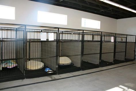 30+ Best Indoor Dog Kennel Ideas | Page 2 of 9 | The Paws Commercial Dog Kennel Ideas, Indoor Dog Kennel Ideas, Dog Kennel Inside, Dog Breeders Kennels, Dog Daycare Design, Dog Kennel Ideas, Dog Breeding Kennels, Dog Boarding Ideas, Hotel Pet