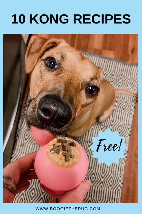 Kong Recipes For Puppies Frozen, Kong Filler Ideas, What To Fill A Dog Kong With, Diy Kong Stuffing, Kong Filling Ideas Frozen, What To Put In Kong Toy For Puppy, Frozen Kong Recipes Dogs Puppys, Kong Toy Filling, Kong Fillers For Puppies