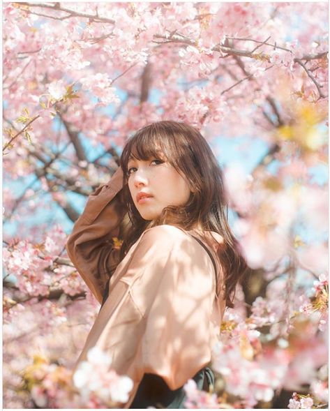 Cherry Blossom Pictures, South Korea Photography, Person Photography, Spring Portraits, Spring Photoshoot, Flower Photoshoot, Female Character Concept, Tree Pose, Photo Composition