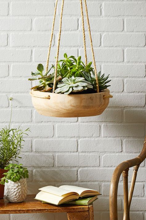 Indoor hanging plant holders are an easy way to add greenery to your home without crowding floor space or tabletops. Check out 23 of our favorite DIY hanging plant holders that effortlessly incorporate greenery into your home decor. #plants #houseplantsdecor #hangingplanters #plantdecor #bhg Hanging Plant Holders, Plant Display Ideas, Hanging Plants Diy, Garden Cactus, Diy Hanging Planter, Hanging Planters Indoor, Plant Pot Holders, Hanging Plant Holder, Hanging Plants Indoor