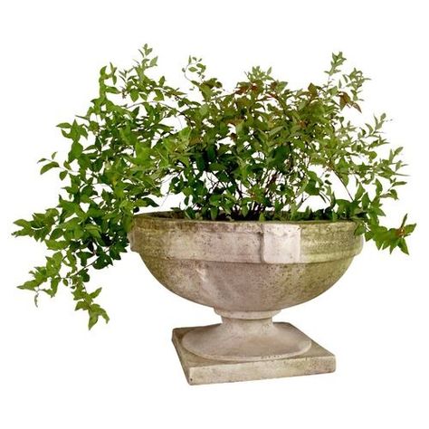 Smooth Strap Urn, White Moss Backyard Refresh, Outdoor Urns, White Urn, Urn Planters, Gold Color Scheme, Benjamin Moore Colors, Outdoor Accents, Outdoor Sconces, Garden Stool