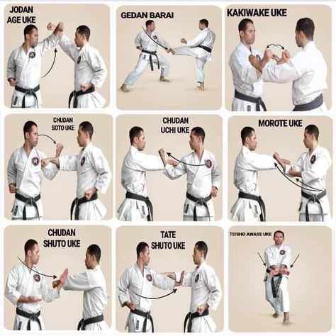 Karate Techniques, Shotokan Karate Kata, Karate Kumite, Martial Arts Books, Karate Moves, Karate Kata, Martial Arts Sparring, Martial Arts Quotes, Karate Training