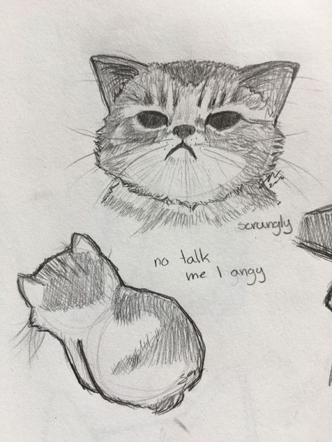 Cats Art Drawing, 그림 낙서, Cat Sketch, Cute Sketches, 캐릭터 드로잉, Easy Drawings Sketches, Cute Doodles Drawings, Haiwan Peliharaan, Cute Doodle Art