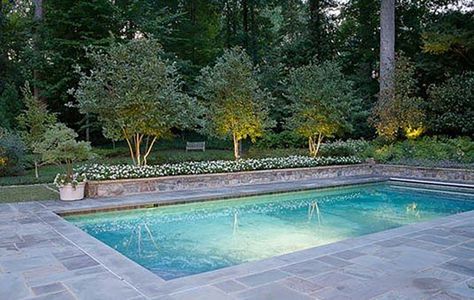 Flower Backyard, Truck Garden, Rectangle Pool, Pool Remodel, Jillian Harris, Alpine Plants, Backyard Pool Landscaping, Small Pools, Garden Types