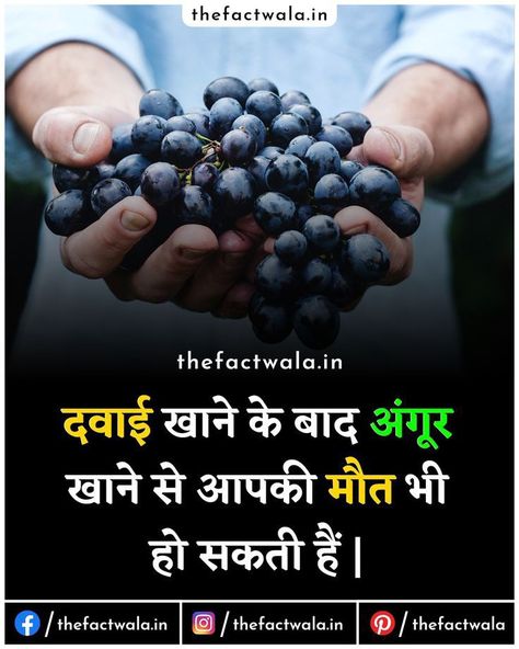 Best Facts In Hindi, Fact About Food In Hindi, Unbelievable Facts Hindi New, Today New Fact In Hindi, Amazing Facts For Students In Hindi, Psychology Fact Hindi, Top 3 Amazing Facts In Hindi, Science Facts Mind Blown In Hindi, Facts Hindi New