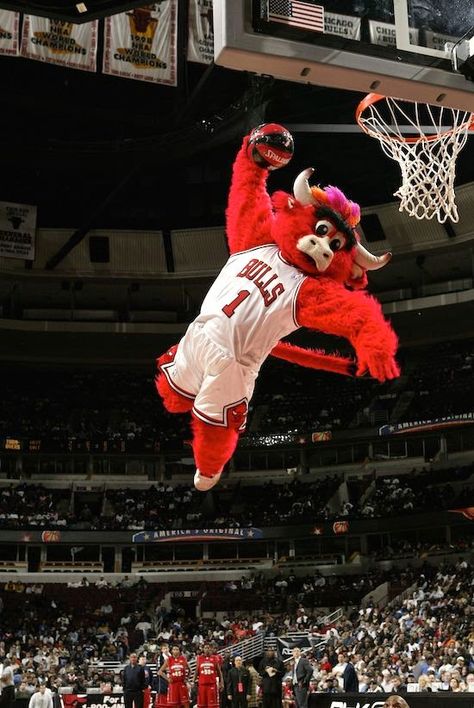 Top NBA Mascots - Art'einsky Chicago Bulls Wallpapers, Chigago Bulls, Benny The Bull, Bulls Wallpaper, Nba Bulls, Bulls Basketball, Michael Jordan Basketball, Nba Mvp, Chicago Sports