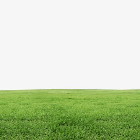 cool Grass Photoshop, Grass Aesthetic, Grass Land, Grass Png, Grass Clipart, Grass Meadow, Field Aesthetic, Grass Photo, Fresh Cut Grass